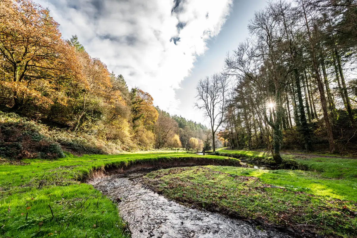 The River Exe in the valley