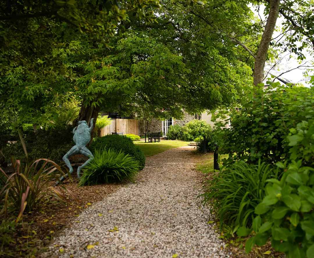 A gravel path through the garden