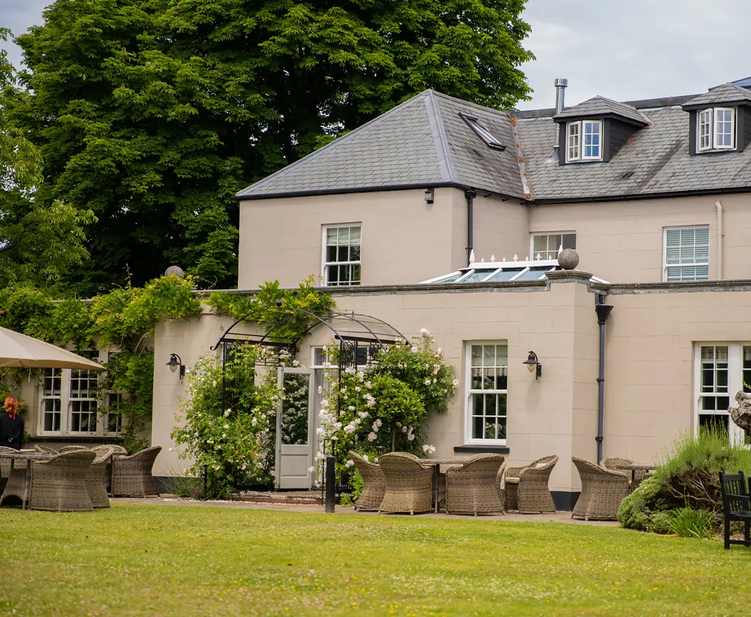 The house with wisteria climbing its walls
