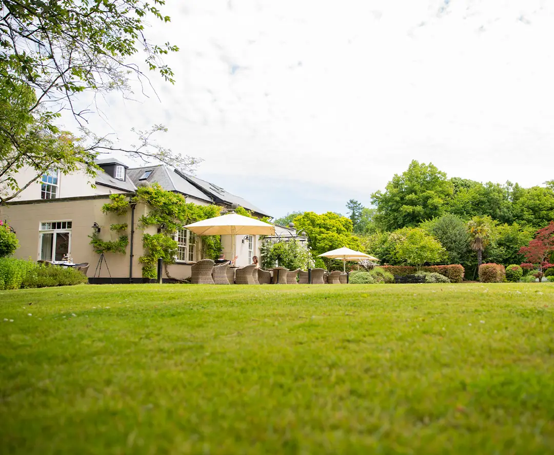 The lawn with parasols up