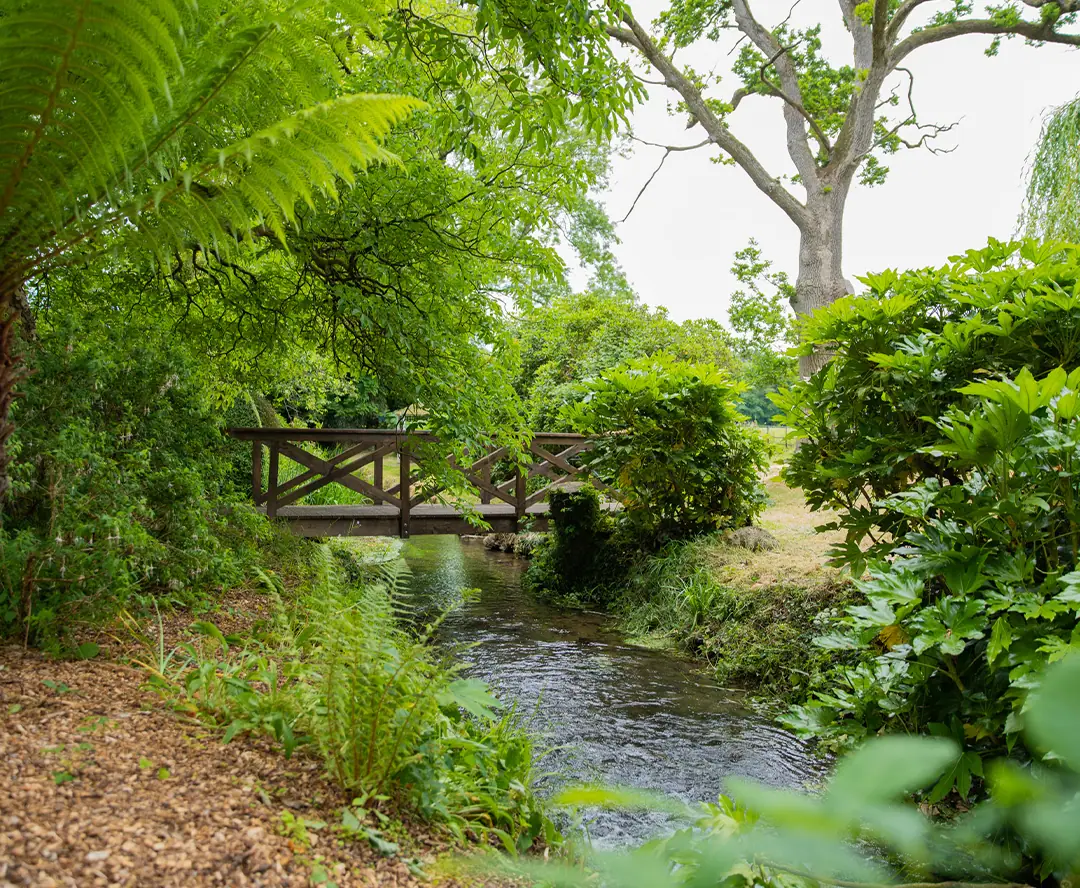 The river and footbridge at the foot of the garden