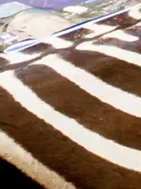 Close-up of a zebra-print footstool