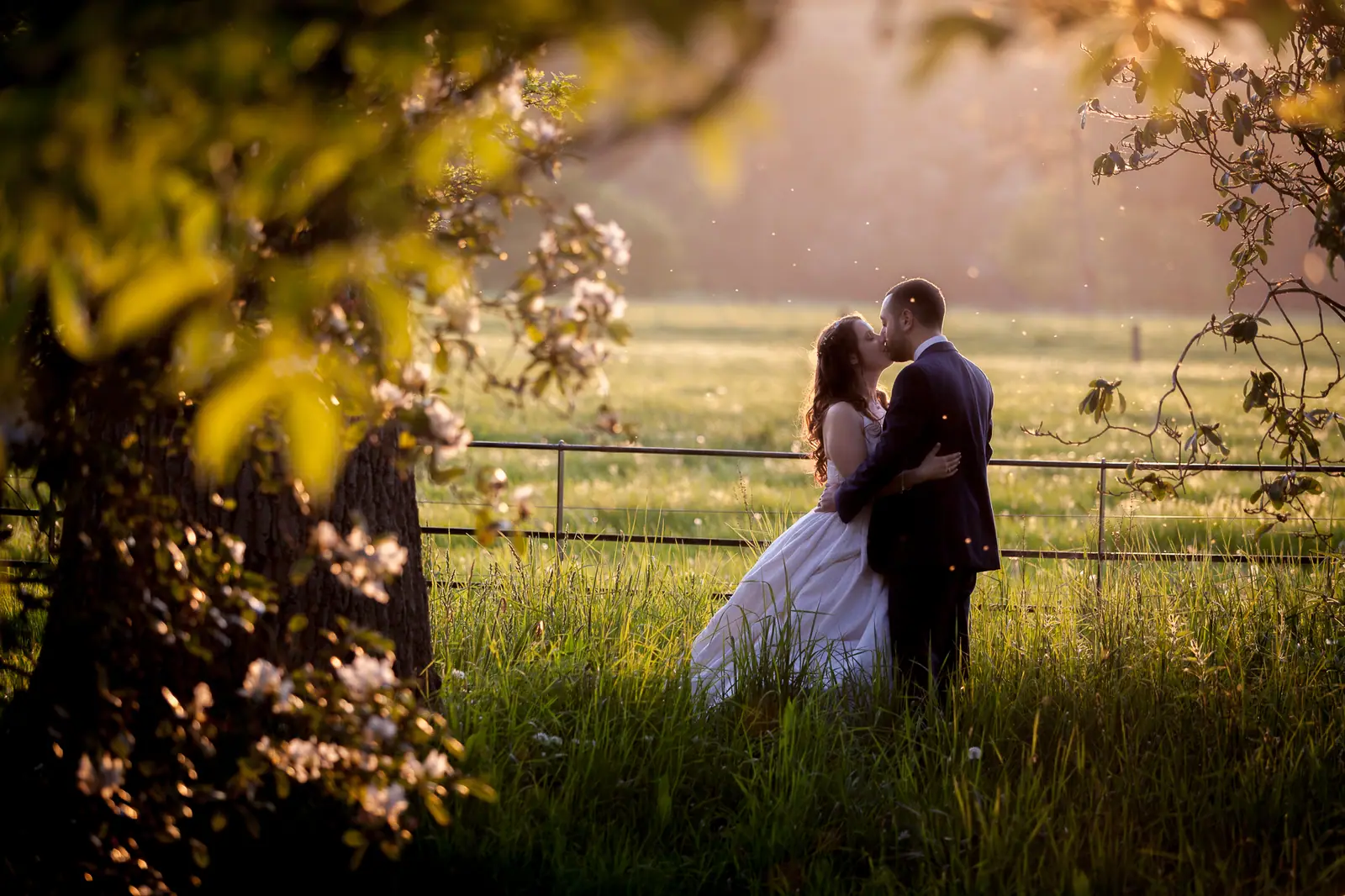 A couple in the meadow in evening light