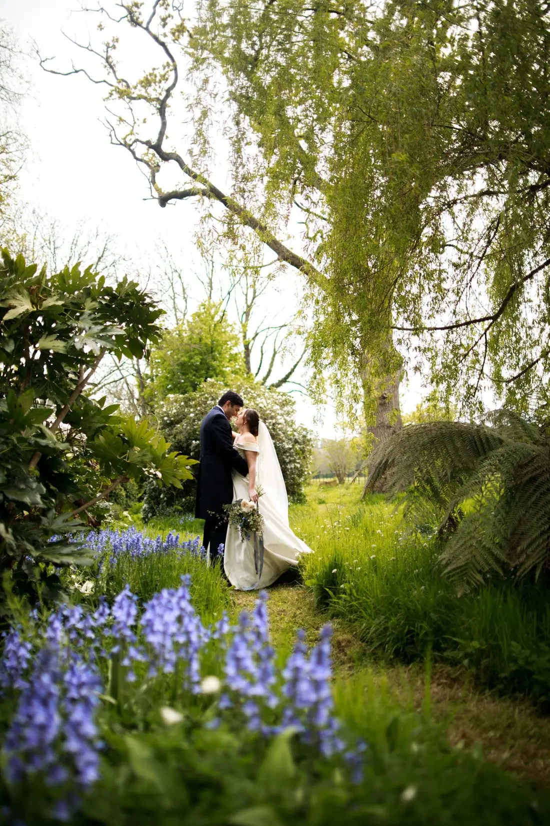A couple among bluebells beneath the willow